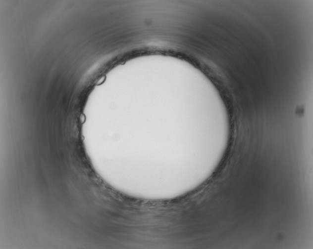 X0000115220776200911251530