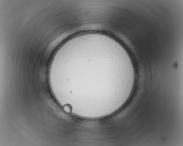 X0000115220778200911251530