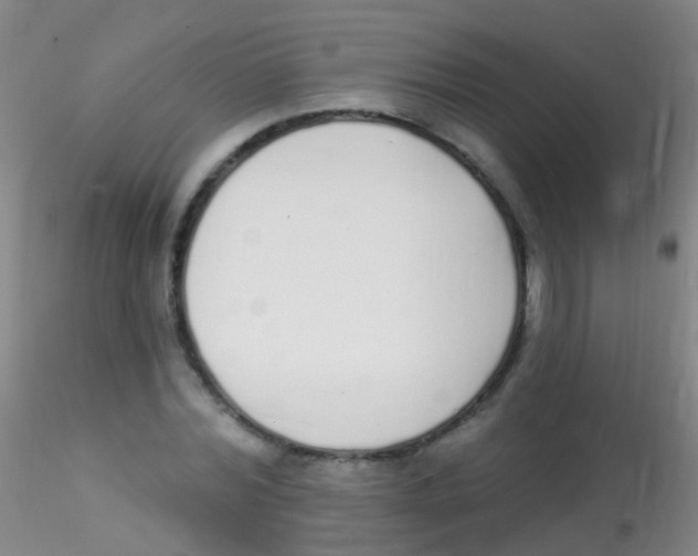 X0000115220780200911251530