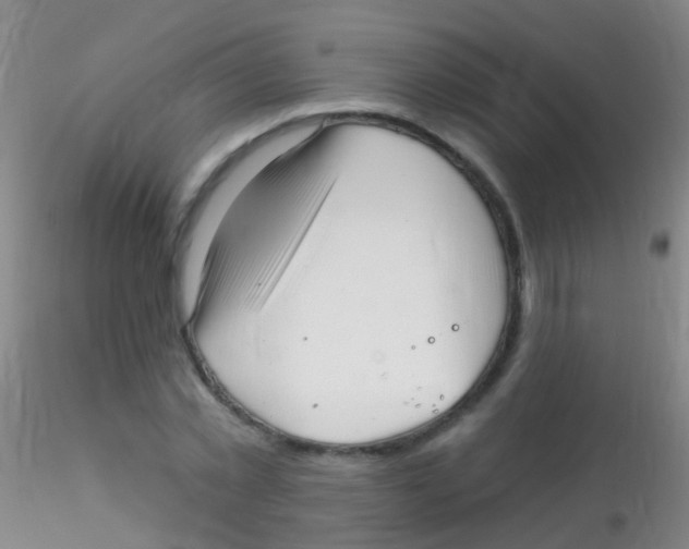 X0000115220781200911251530