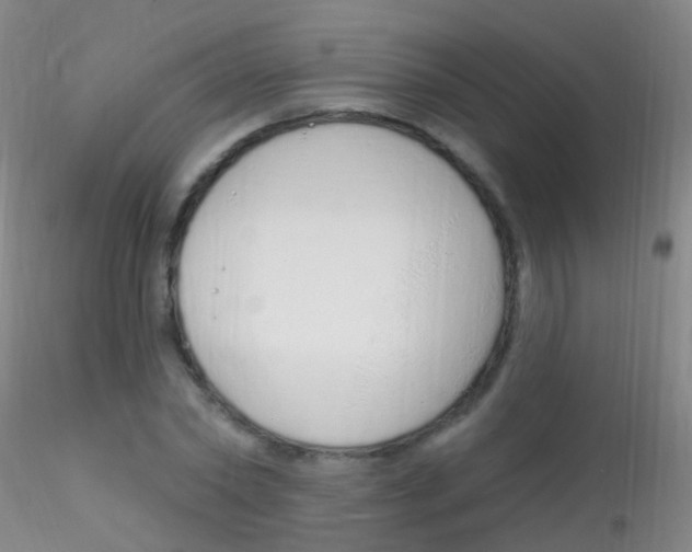 X0000115220782200911251530