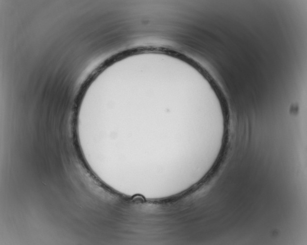 X0000115220783200911251530