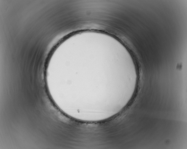 X0000115220784200911251530