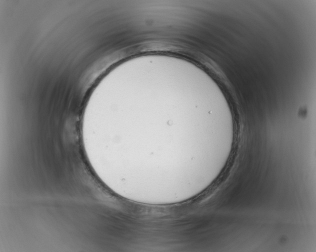 X0000115220786200911251530