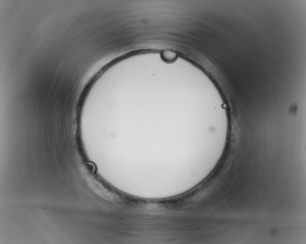 X0000115220787200911251530