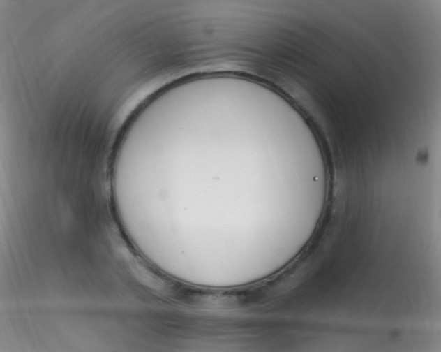X0000115220789200911251530
