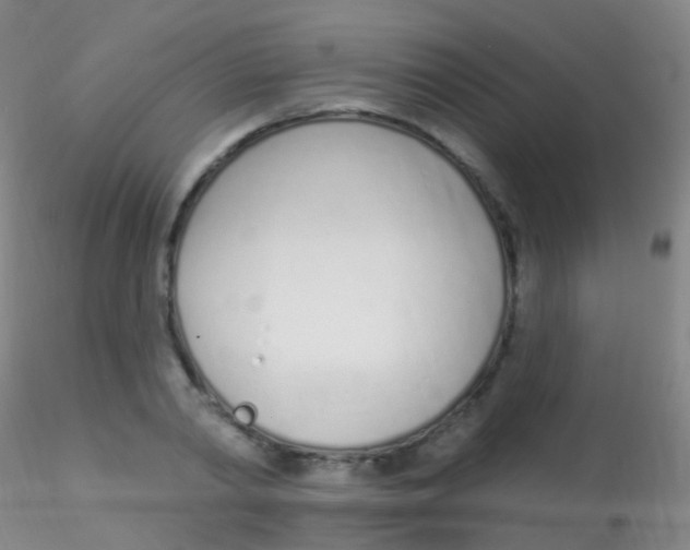 X0000115220790200911251530