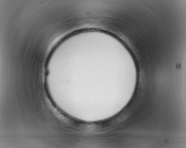 X0000115220791200911251530