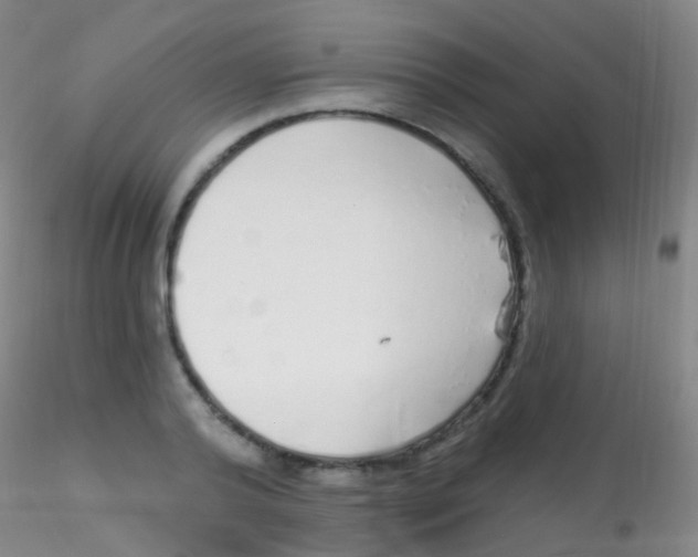 X0000115220792200911251530