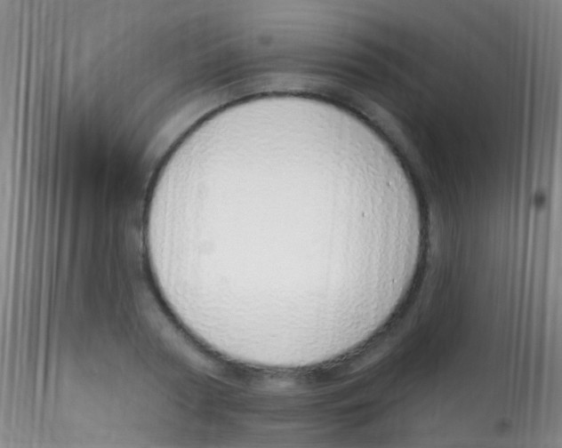 X0000115220794200911251530