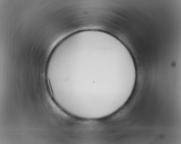X0000115220797200911251530