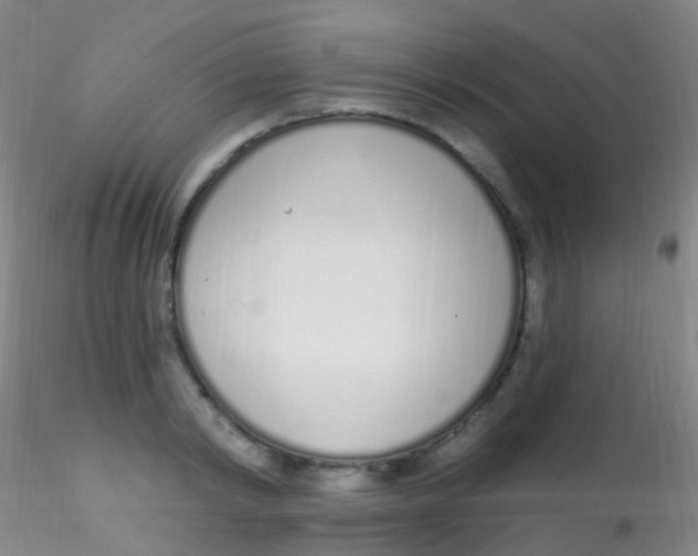 X0000115220798200911251530