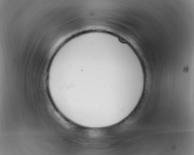 X0000115220799200911251530