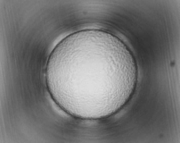 X0000115220802200911251530