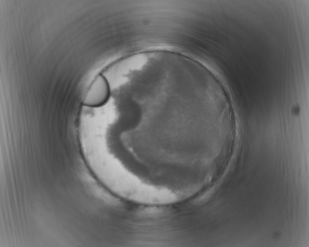 X0000115220806200911251530