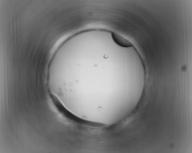 X0000115220815200911251530