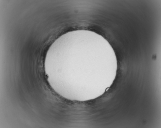 X0000115220818200911251529
