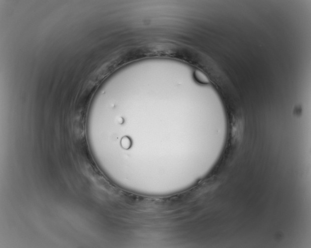 X0000115220819200911251529