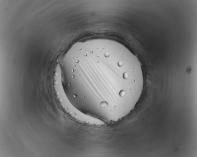 X0000115220820200911251529