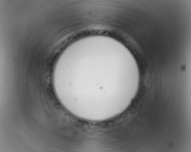 X0000115220821200911251529