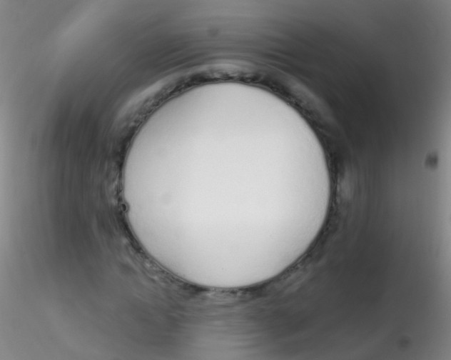 X0000115220822200911251529