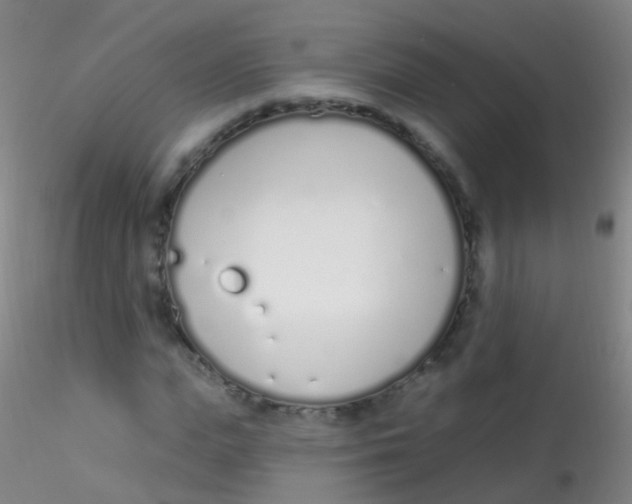 X0000115220823200911251529