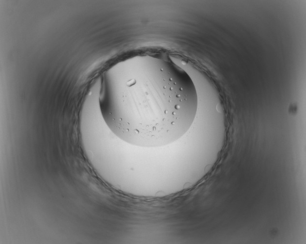 X0000115220824200911251529