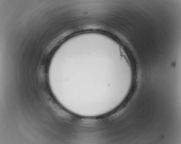 X0000115220825200911251529