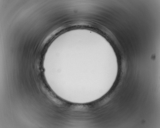 X0000115220826200911251529