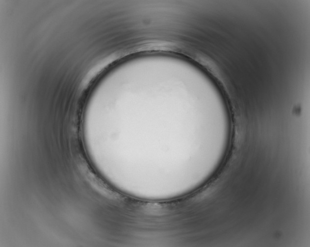 X0000115220827200911251529