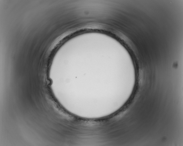 X0000115220829200911251529