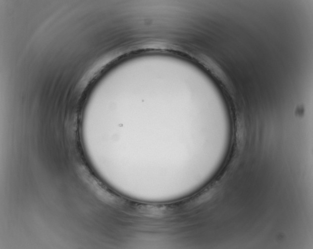 X0000115220831200911251529