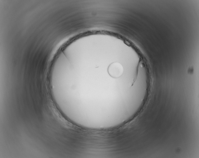 X0000115220832200911251529