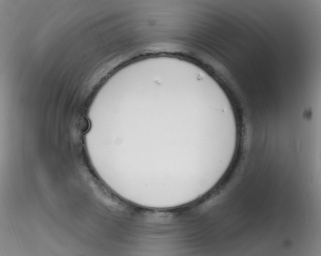 X0000115220833200911251529