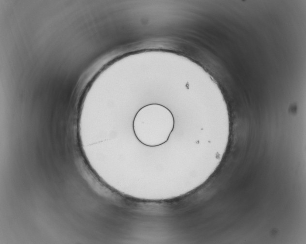 X0000115220836200911251529