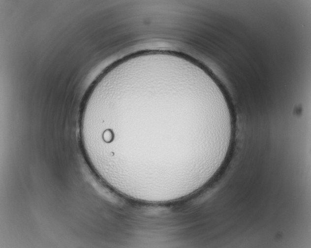 X0000115220837200911251529