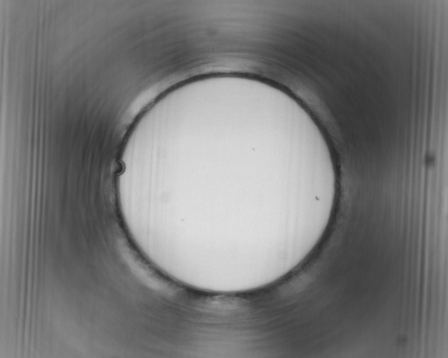 X0000115220842200911251529