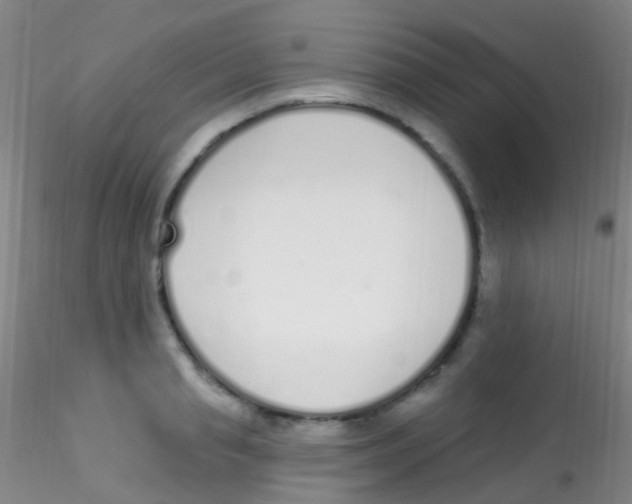 X0000115220845200911251529