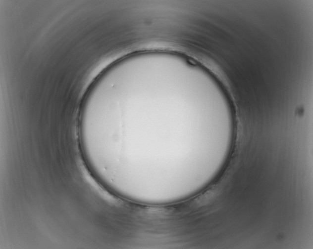 X0000115220847200911251529