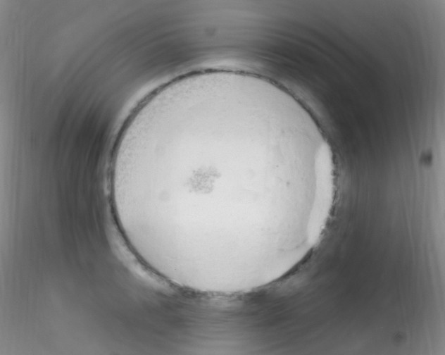 X0000115220848200911251529