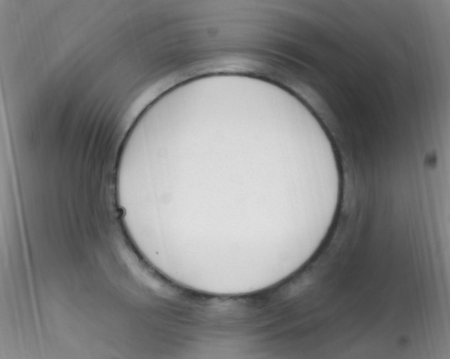 X0000115220850200911251529