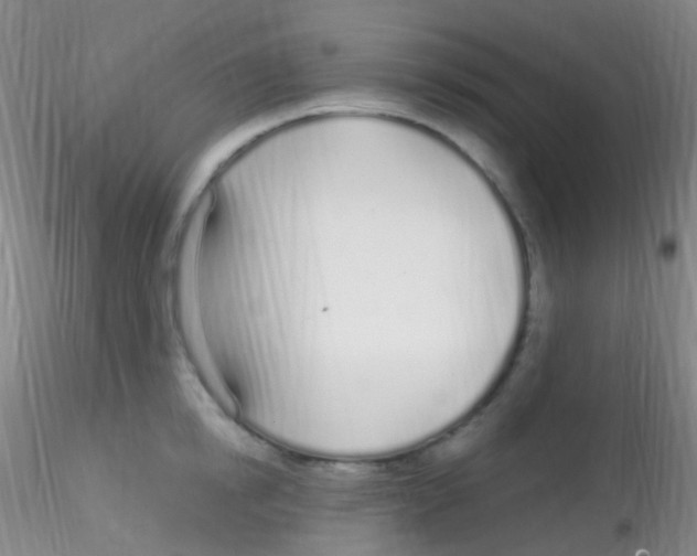 X0000115220854200911251529
