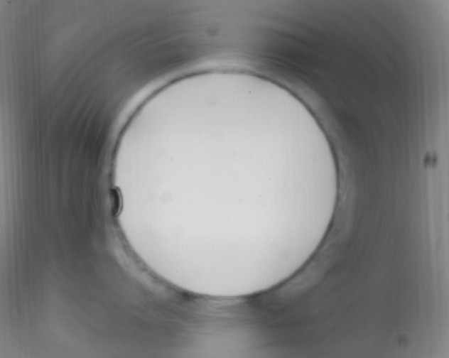 X0000115220864200911251530