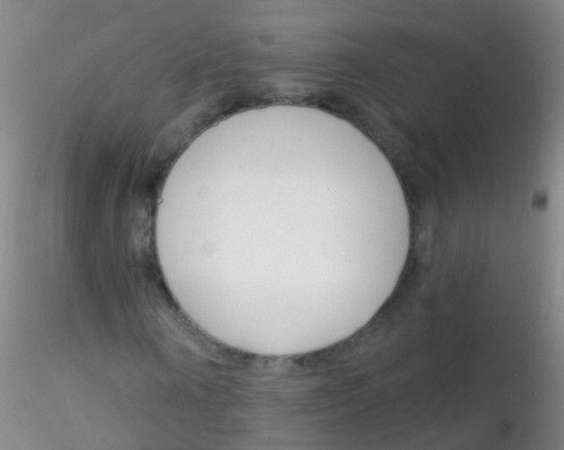 X0000115220866200911251529
