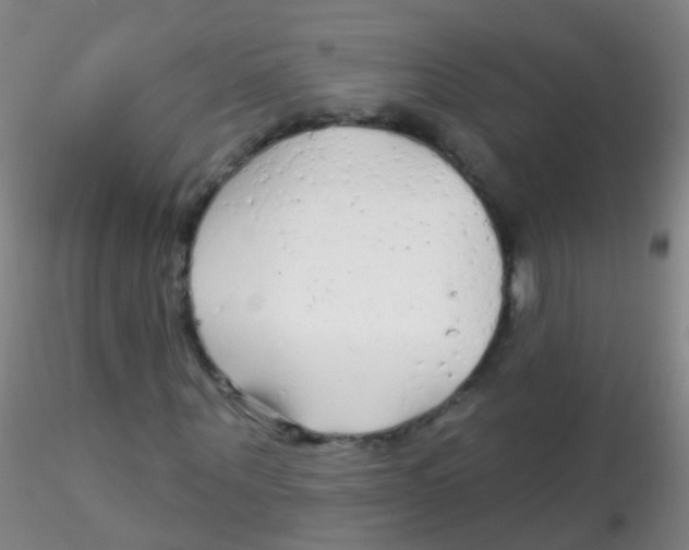 X0000115220867200911251529