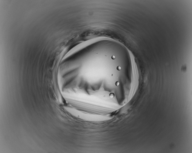 X0000115220868200911251529