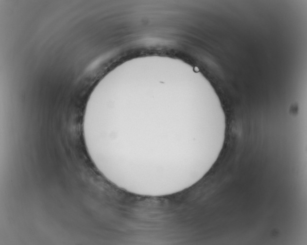 X0000115220869200911251529
