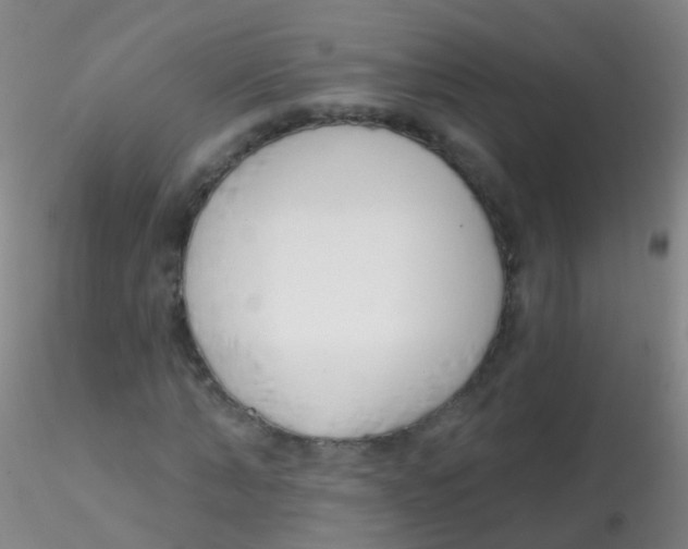 X0000115220870200911251529