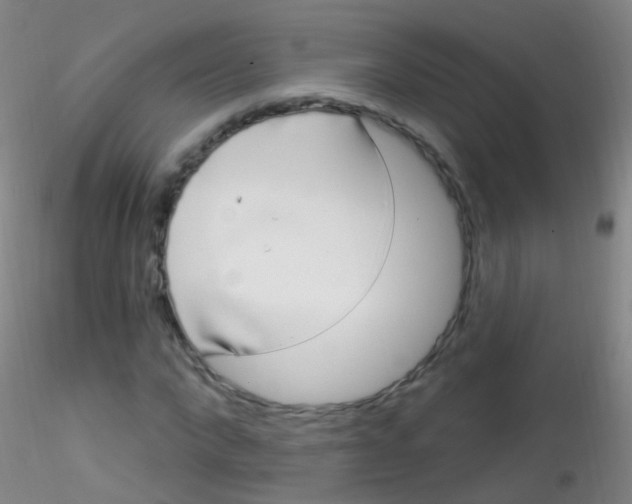 X0000115220872200911251529