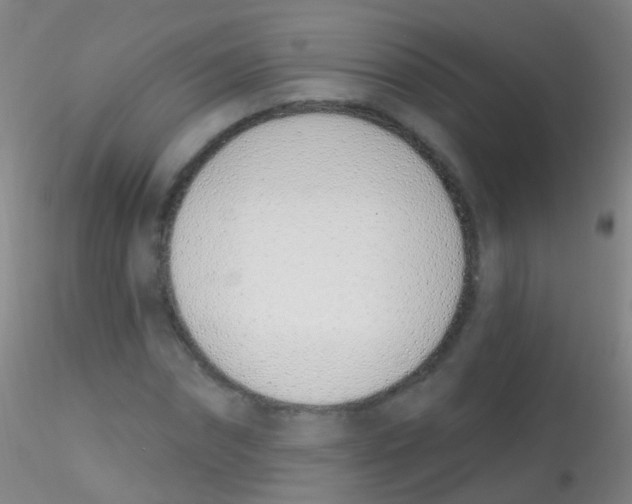 X0000115220874200911251529